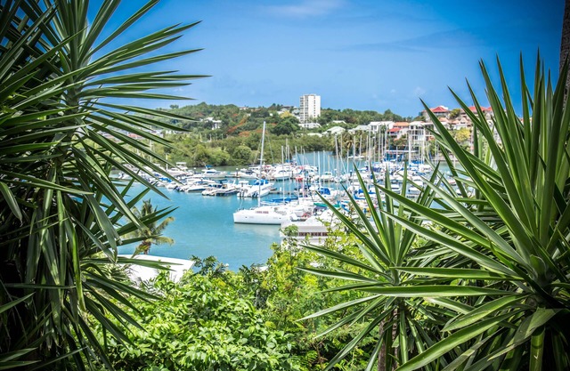 Studio Bord de Mer in Guadeloupe