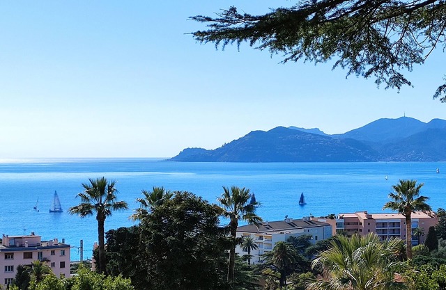 Studio + cabin, sea view, quiet, near beach and Palais des Festivals