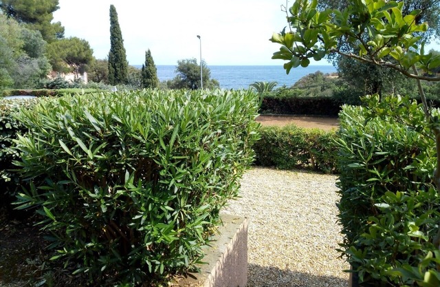 Studio - Cavalaire sur Mer