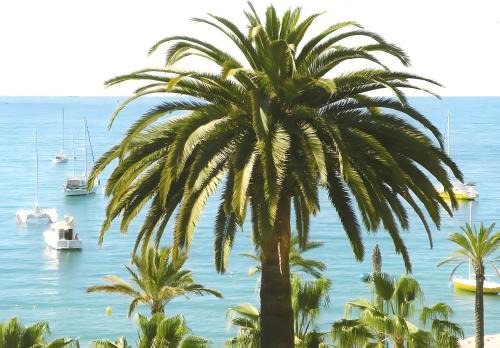 Studio Clim proche plage et parking