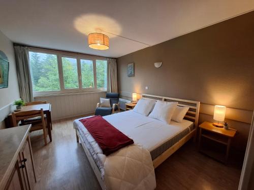 Studio cosy au Lioran - Vue montagne, Lit Queen, Parking privé - Ménage inclus
