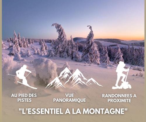 Studio cosy avec vue panoramique sur les Vosges