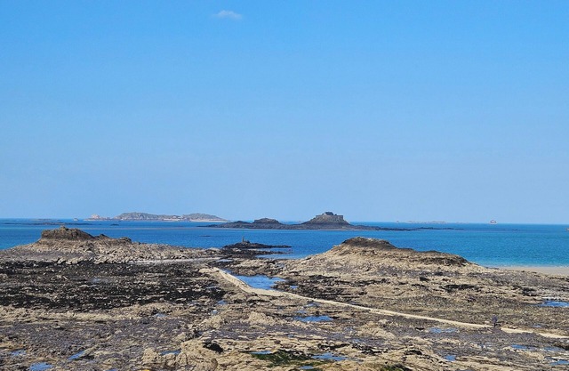 Studio dinard 60 m from l'écluse beach Pets not allowed