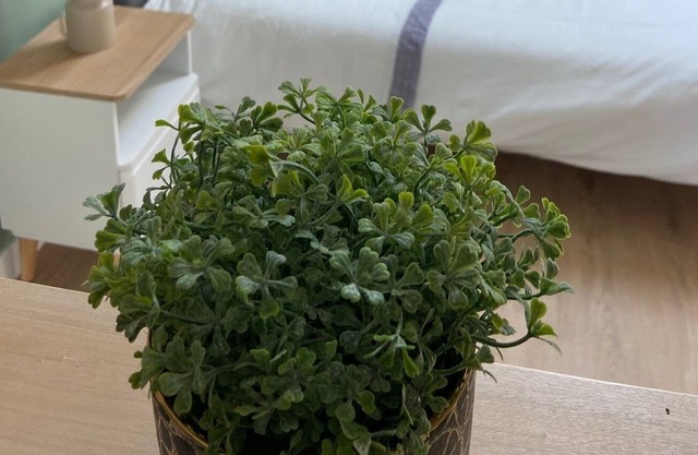 Studio / Gîte sur les Bords de Loire en Centre Ville