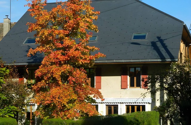 Studio "Le Cabanon 35 m²" with Mountain View and Wi-Fi