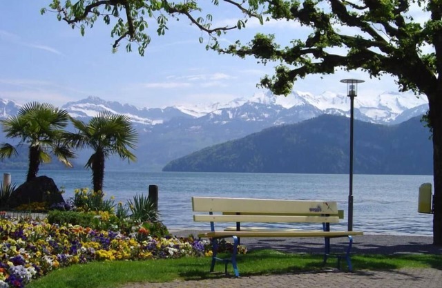 Studio 'Rubi' Weggis