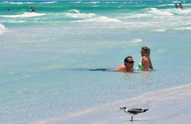 Studio Stand Alone with Shared Pool and FREE WiFi Close to Anna Maria Island