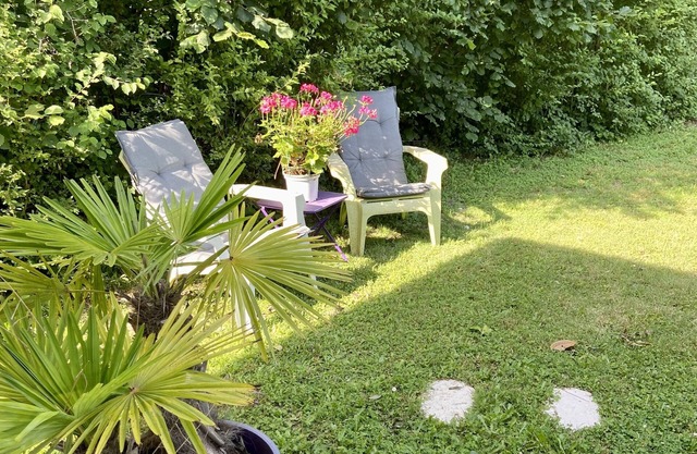 Studio surrounded by greenery
