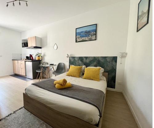 Studios modernes et chaleureux proche gare avec accès jardin