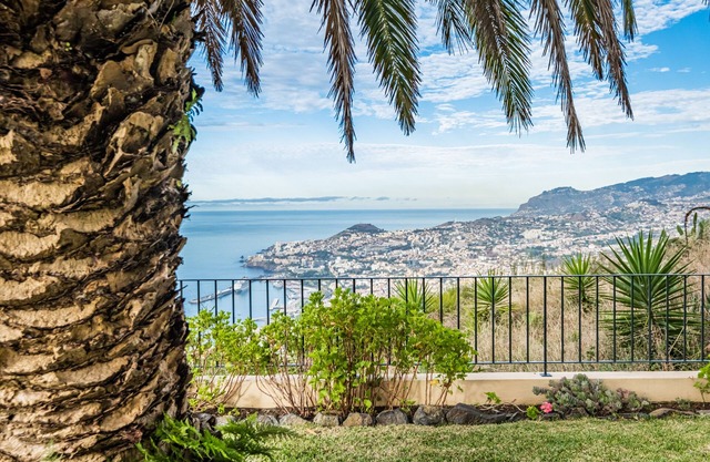 STUNNING FIREWORKS VIEWS FOR NYE!