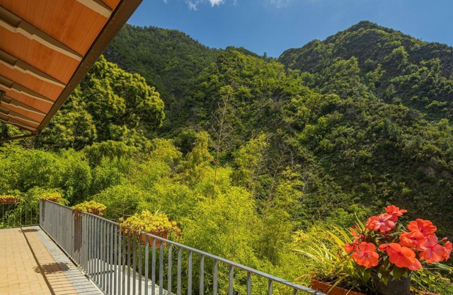 Stunning private villa for 4 people with TV, terrace, pets allowed and parking