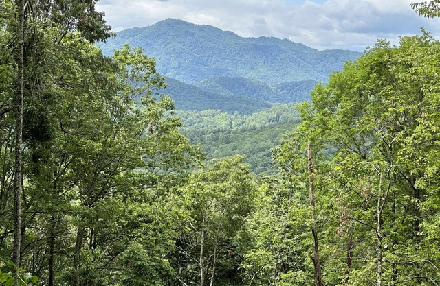 Stunning Views, Superb Atmosphere, Modern Amenities, In the Middle of Nature