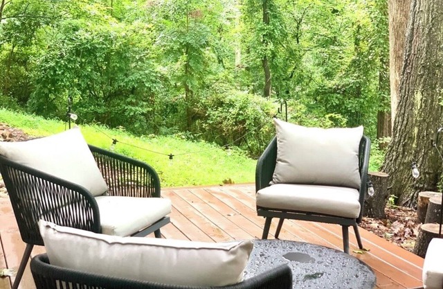 Stylish mid-century house walking distance to UVA with fireplace and sunset view