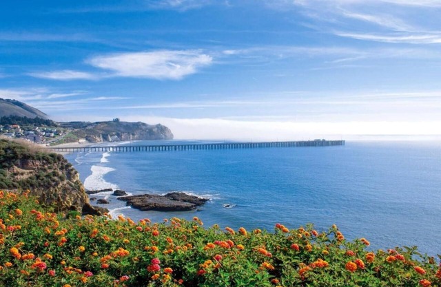 Suite Beach Retreat! Outdoor Pool, Onsite Dining & Gym Access | Free Parking!