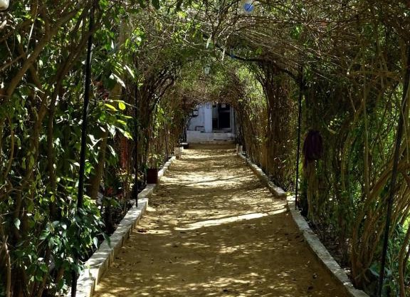 Sukha's Place