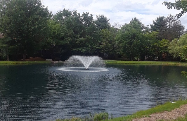 Summer fun, pool w/amenities in Lake Harmony at Jack Frost Mtn with Pond View