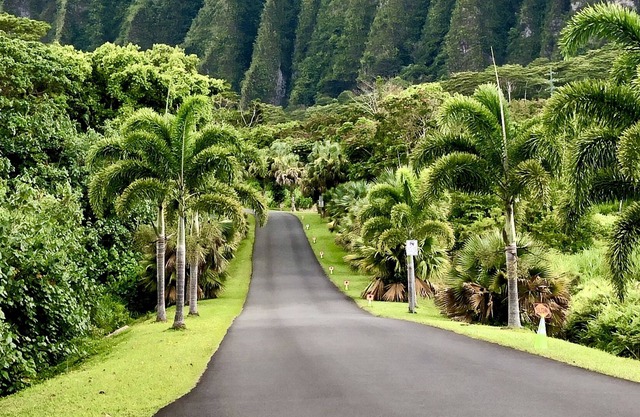Summer Sale Kailua- 2 BR with Mountain, Lake Views, Full Kitchen, Laundry and AC