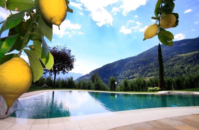 Sunny vacation apartment with brine outdoor pool on the Algunder Waalweg