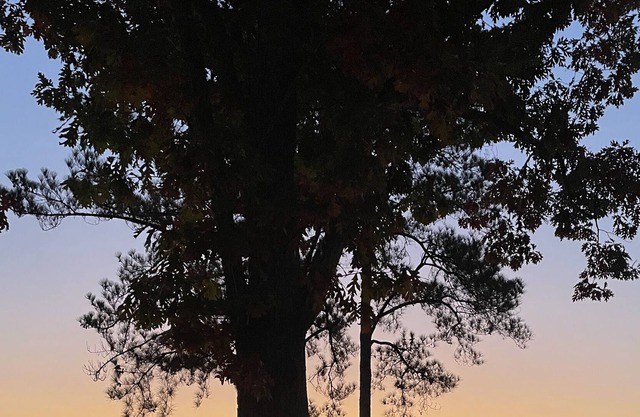Sunrise views on Weiss Lake