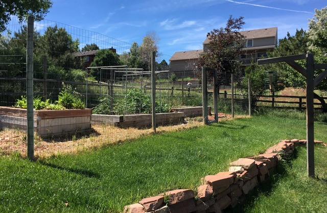 Super cute 500 ft2 basement apartment. Pet friendly for well behaved pets.