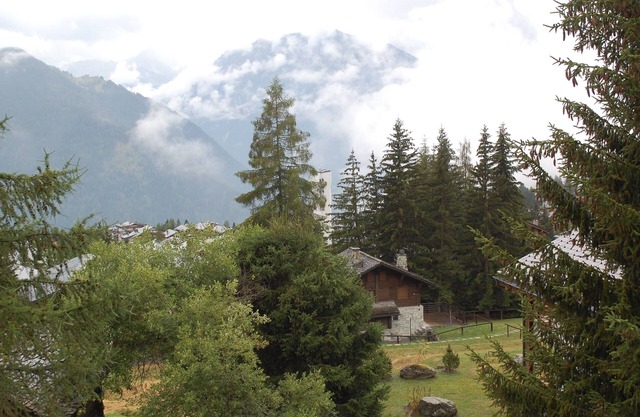 Superb chalet apartment on the edge of nature