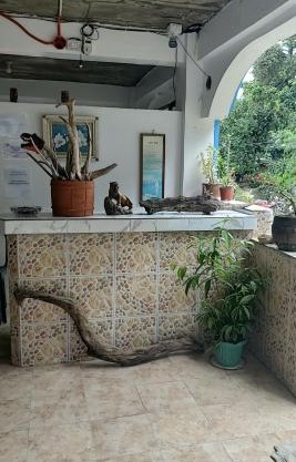 Swayna Homestay - By Eastdee