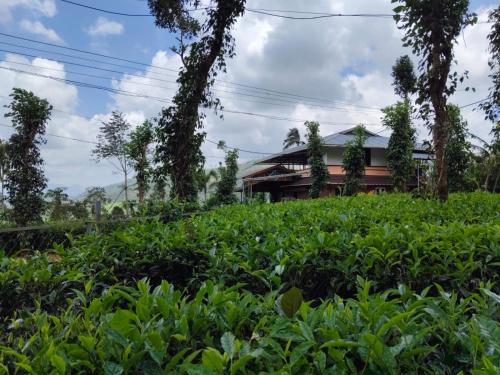 Sylora Meadows Pool Villa ,Vagamon