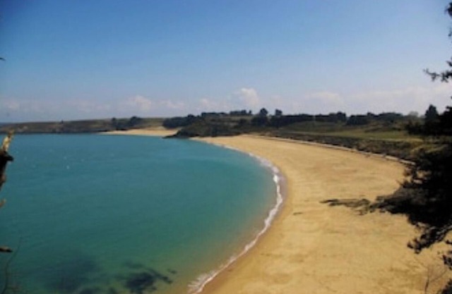 TAMARIS, SEASIDE AND WILD COAST
