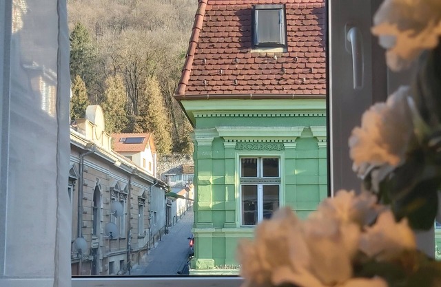 Tampa View - one-bedroom apartment in center of Brasov