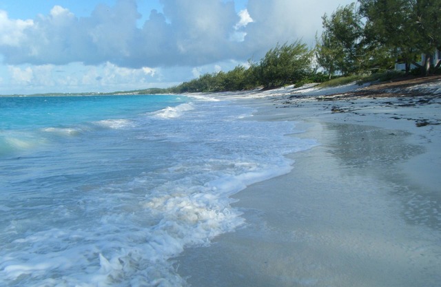 Tar Bay's Hidden Treasure! "The place to be"