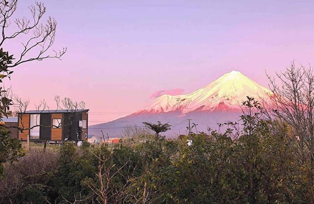 Taranaki Creekside KIWI by Tiny Away