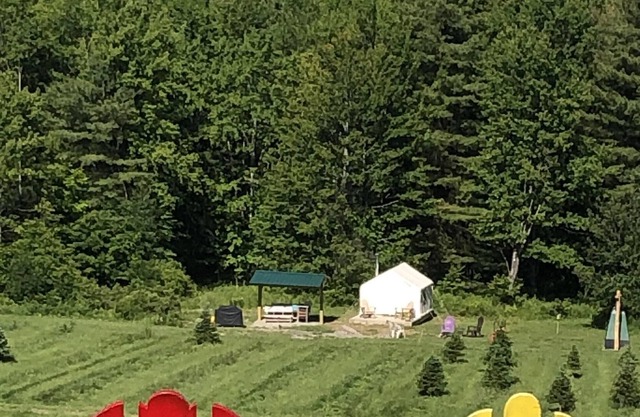 Tentrr Signature Site - High Meadow Tree Farm