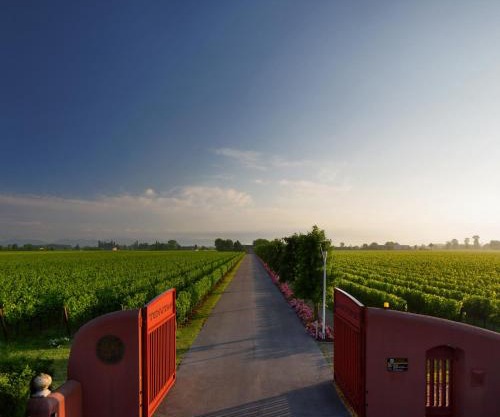 Tenuta Santomè