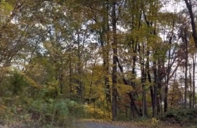 THE ARTIST’S LOFT- Peaceful 1-bedroom apartment in lovely Red Hook with AC, WiFi