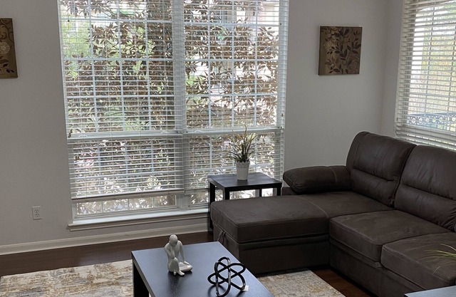 The Best apartment location in the Woodlands for 6 people