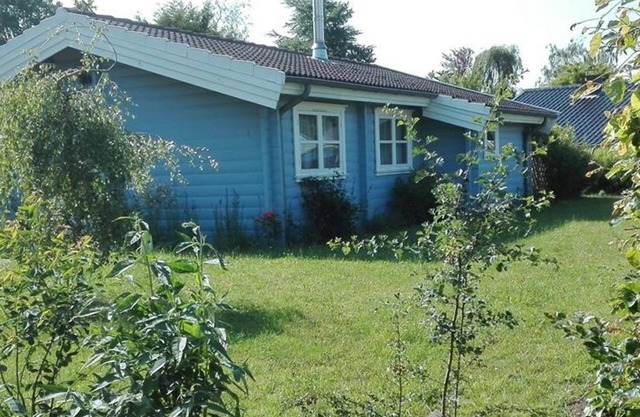The blue house