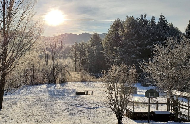 The Blue Jay Lodge