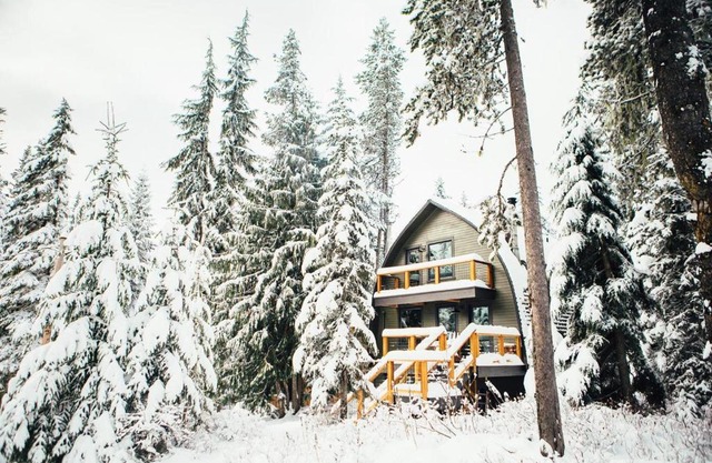 The Bow Roof Cabin - Meredith Lodging