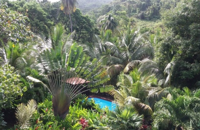 The Caribbean bungalow