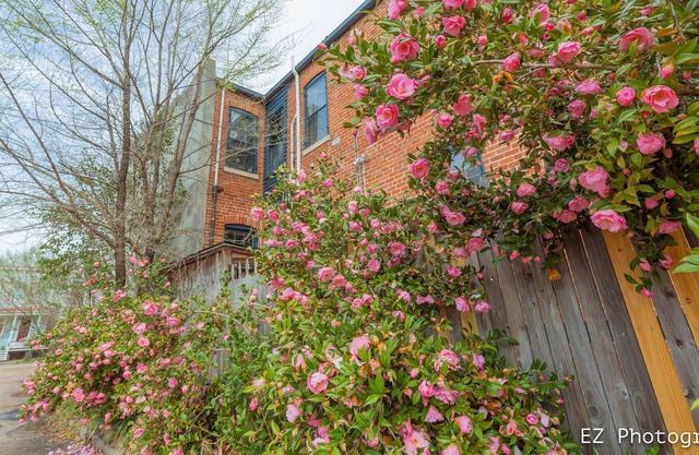 The Charm of Old Towne Portsmouth