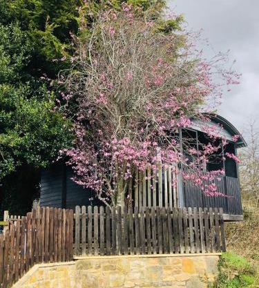The Cherry Tree Gypsy Wagon