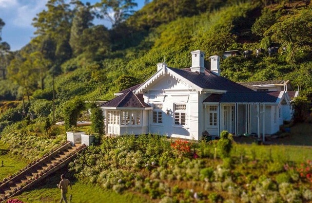 The Clovelly Bungalow