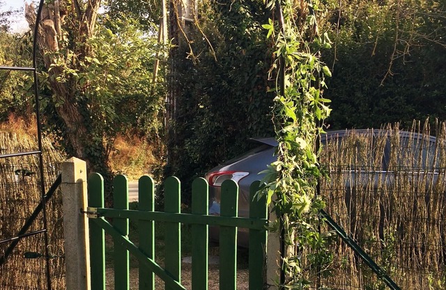 The den (bis) of the werewolf