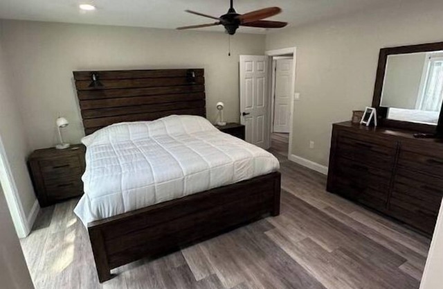 The Downtown Darling