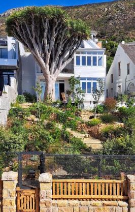 The Dragon Tree Guesthouse