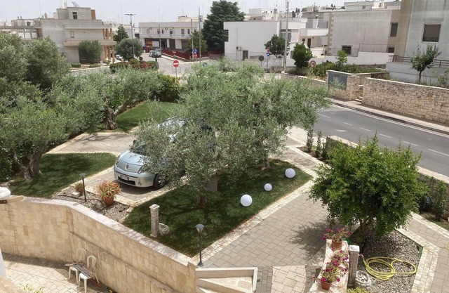 The five olive trees
