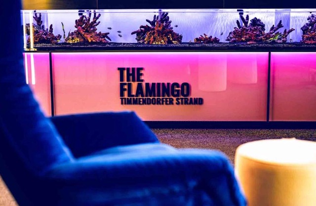 The Flamingo