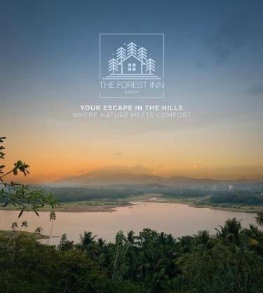 The Forest Inn Kandy