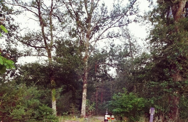 The guest house, cottage in the heart of Sologne