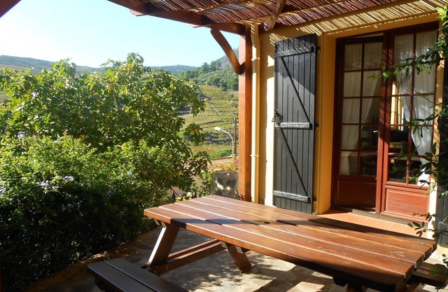 THE HEART OF THE VINES, 1.5 km from the sea